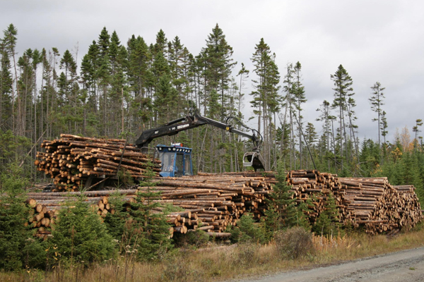 logsweb